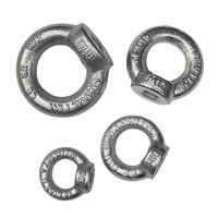 Závesná matica M16 DIN582, Zn