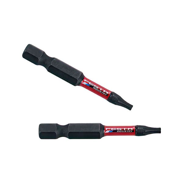 Bit torzný Festa T25, 50 mm S2, 2 ks