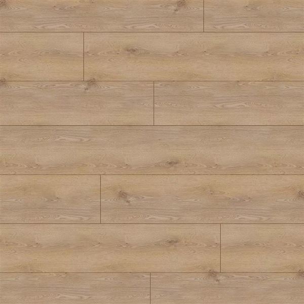 Laminátová podlaha Natura Line Trend Oak 501, 8 mm