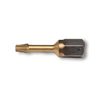 Fischer FTB TX 10 TiN bit