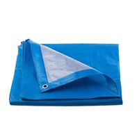 Krycia plachta s okami, 2 x 3 m, standard plus