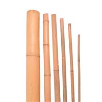 Bambusová tyč 150 cm / 10-12 mm