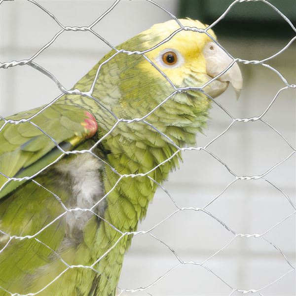 Pletivo šesťhranné PVC 13 × 0.9 × 100 cm, balenie 25 m