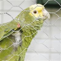 Pletivo šesťhranné ZN 13 × 0.7 × 100 cm/50 m